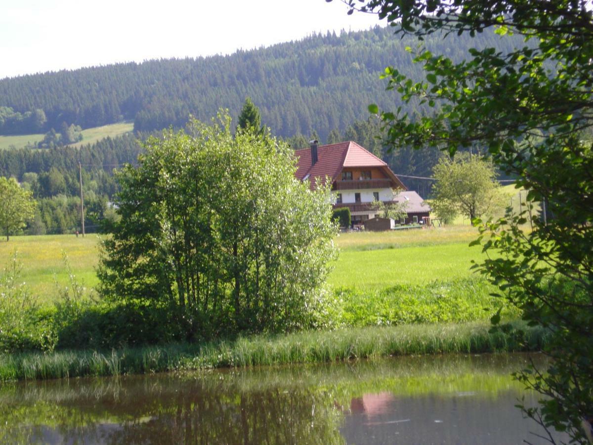 Ferienhaus Ehinger Apartment Breitnau Luaran gambar