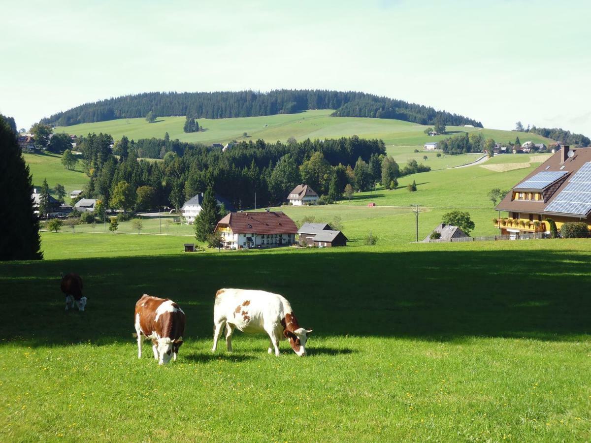 Ferienhaus Ehinger Apartment Breitnau Luaran gambar