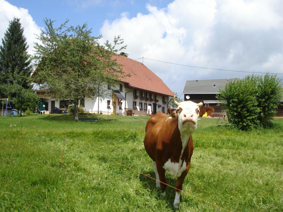 Ferienhaus Ehinger Apartment Breitnau Luaran gambar