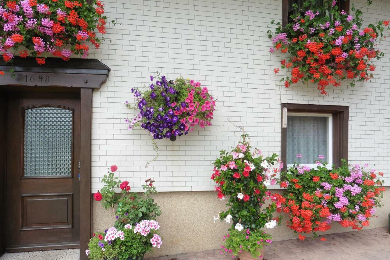 Ferienhaus Ehinger Apartment Breitnau Luaran gambar